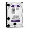 Жест.диск Western Digital 10000GB (WD102PURX) Purple